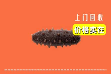 收购资讯:合肥市庐江回收海参