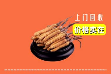 合肥市庐江回收冬虫夏草